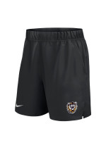 Men's Shorts Nike