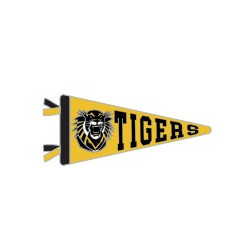 Spirit Pennant Lapel Pin