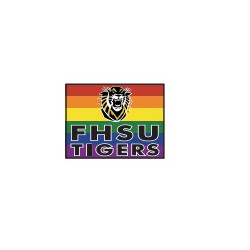 Spirit Foxboro Lapel Pin