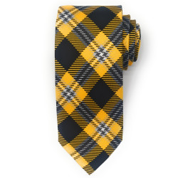 Timeless Tartans Necktie