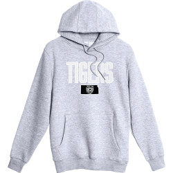 Unisex Hoodie College House